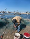 Fisherman Removing Fish From his Nets Royalty Free Stock Photo