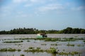 Fisherman`s boat heading to the mouth of the Magdalena River.