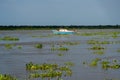 Fisherman`s boat with plants floating on the Magdalena river in the city of Barranquilla. Colombia.