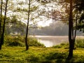 Fisherman's chair and fishing rod in the background over the lake at dawn. Royalty Free Stock Photo