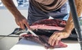 Fisherman`s hands with knife when processing tuna meat after fishing Royalty Free Stock Photo