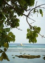 Fisherman\'s hut,floating out at sea on a bamboo platform,framed by tree branches,on the beach,Oslob,Cebu,The Philippines