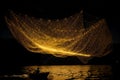 A fisherman s net catching a school of glowing constellation fish