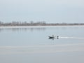 Fisherman sails on the boat slicing through the water surface in early spring Royalty Free Stock Photo