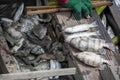 Fisherman selling fish from the boat