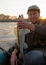 Fisherman is showing a walleye Royalty Free Stock Photo