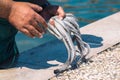 Fisherman slamming and softening with hand a big raw fresh octopus on the pier of the port of Bari, Puglia