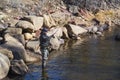 Fisherman standing in the Poudre River fly fishing in Colorado Royalty Free Stock Photo