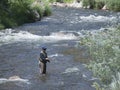 Fisherman standing in the Poudre River fly fishing in Colorado, USA Royalty Free Stock Photo