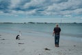 Fisherman standing on the sandy beach with an Australian pelican against the cloudy blue sky Royalty Free Stock Photo