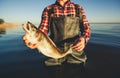 a fisherman standing in the water holding in his hand caught on spinning pike.