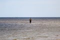 A fisherman stands aground in the sea bay and fishes