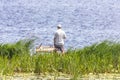 A fisherman stands with a fishing rod in reeds facing the river