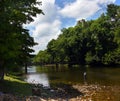 Fisherman Stands in Holston River at Weir Dam Royalty Free Stock Photo