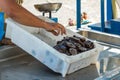 Fisherman after a successful fishing, behind the counter sells his catch of fish and shellfish. Gentle warm sunny day. Old port, Royalty Free Stock Photo