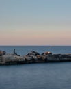 fisherman at sunset