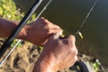 The fisherman takes a crucian fish from a fishing hook, visible hands of a man and a pond in the background.