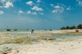 Fisherman taking anchore near fishing village coast in Zanzibar