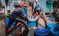 A fisherman taking the fish off a boat at Ban Bang Saray Fish Bridge, Thailand