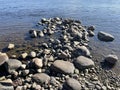 A fisherman throws a fishing rod standing knee-deep in the water of the river. Fly fishing for trout. Summer holidays and people Royalty Free Stock Photo