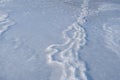 Fisherman trace path on frozen lake surface shore after thaw, winter forest river edge sunset, deep shadows Royalty Free Stock Photo