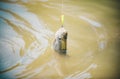 Fisherman and trout. River grayling on the hook. Fisherman and trophy trout. Holding brown trout. Still water trout Royalty Free Stock Photo