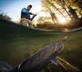 Fisherman and trout, underwater view.