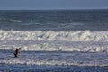 Fisherman on wave beach, parangtritis yogyakarta - indonesia