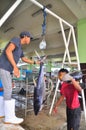 Fisherman is weighing tuna to sell to the market Royalty Free Stock Photo