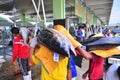 Fisherman are weighing tuna to sell to the market Royalty Free Stock Photo