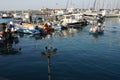 A fisherman went out to sea, an ancient port in Jaffa Royalty Free Stock Photo