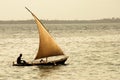 Fisherman on Zanzibar Island Royalty Free Stock Photo