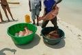 Fishermen on beach divide catch fresh fish red snapper Royalty Free Stock Photo