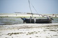 Fishermen on the beach of Zanzibar Island. Royalty Free Stock Photo