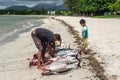 Fishermen and big tuna fish on the Tamarin beach - cleaning fish Royalty Free Stock Photo