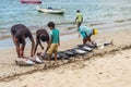 Fishermen and big tuna fish on the Tamarin beach