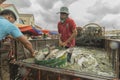 Fishermen in Cambodia Royalty Free Stock Photo