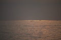 Fishermen catch fish in the sea inside Kovalam beach in their motorboats Royalty Free Stock Photo