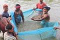 Fishermen catching big fish in net community fishing in asia hd Royalty Free Stock Photo