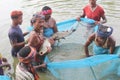 Fishermen catching big grass fish in net community fishing in asia hd