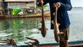 Fishermen catching shark from the sea Royalty Free Stock Photo