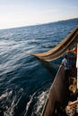 Fishermen choose a trawl with fish