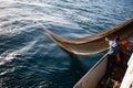 Fishermen choose a trawl with fish