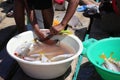 Fishermen clean and dress fish directly on the pier for sale