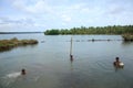 Fishermen collecting Clams Royalty Free Stock Photo