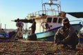 Fishermen collecting and cleaning fishing nets after a fresh catch