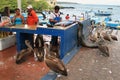 Fishermen dock in Puerto Ayora, Santa Cruz