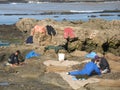 Fishermen drying sea food at coast, Morocco