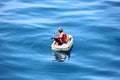 Fishermen are engaged in fishing on improvised floating rafts in the port of Tuticorin, India.