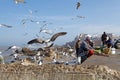 Fishermen at the Essaouira fortified city